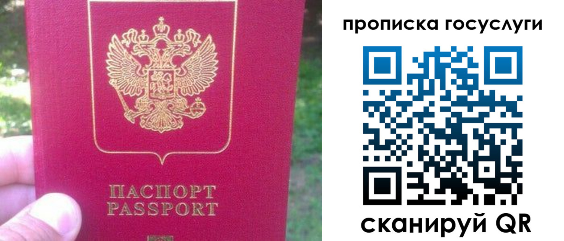 временная регистрация собственник в Острогожске